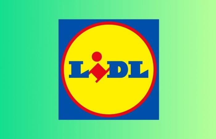 Lidl hits hard for its Black Friday with these 5 great offers