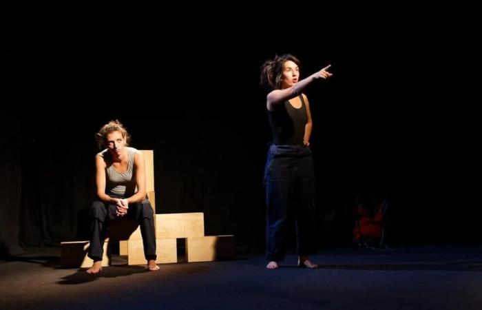 A theatrical play bringing together Israel and Palestine at La Coquille