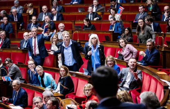 heat stroke in the Assembly after threats from Modem deputy Nicolas Turquois – Libération