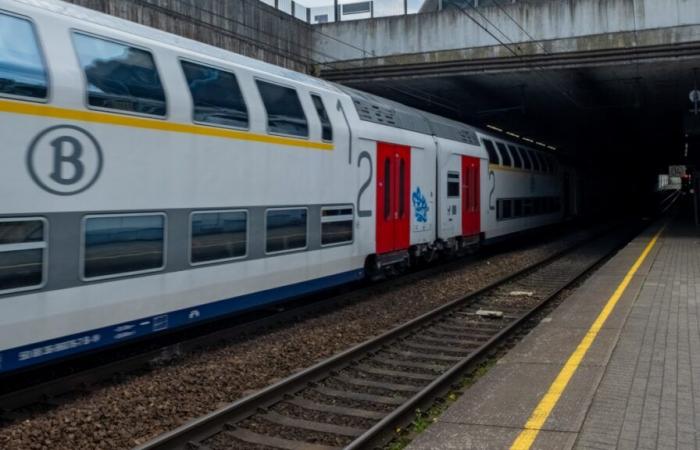 Delays and cancellations, the SNCB network disrupted throughout the country: “We advise commuters to remain attentive”