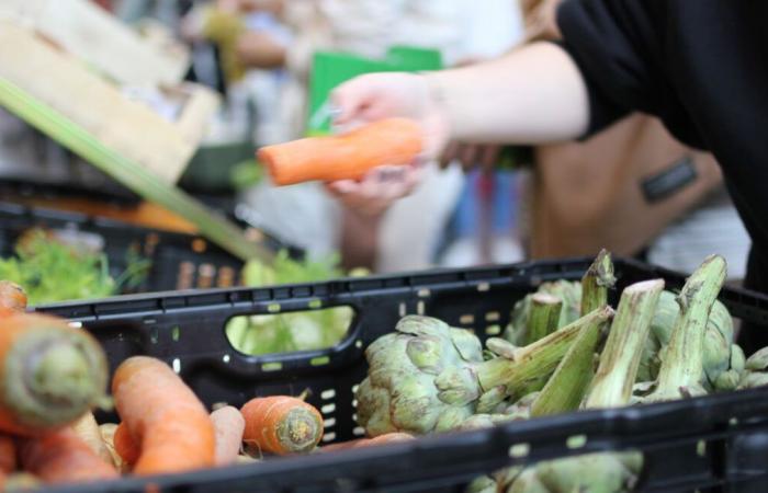 A grocery store without employees that offers reduced prices to its customers