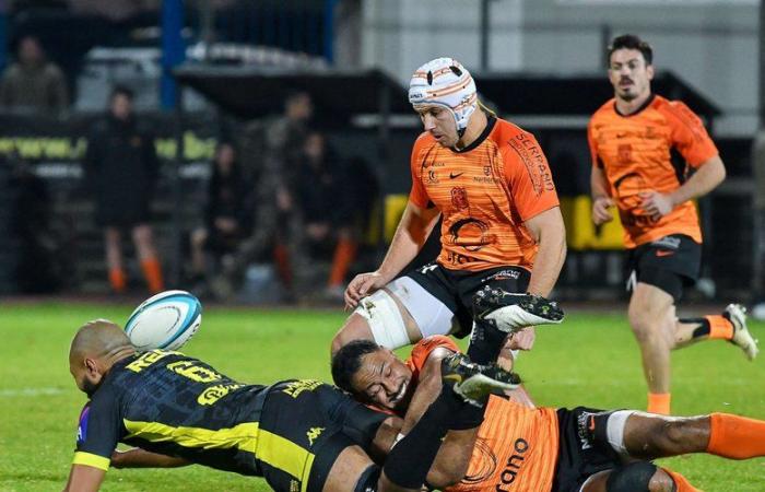 Rugby – Carcassonne-Narbonne Derby in National: “Like Thibault Clauzade, an imperial defense of the RCN”, launches Narbonne manager Julien Seron after the victory