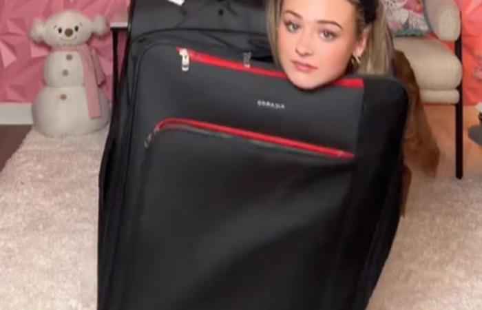 “We put ourselves in a suitcase, like an idiot”: TikTok warns against a dangerous challenge, after the concussion of an influencer