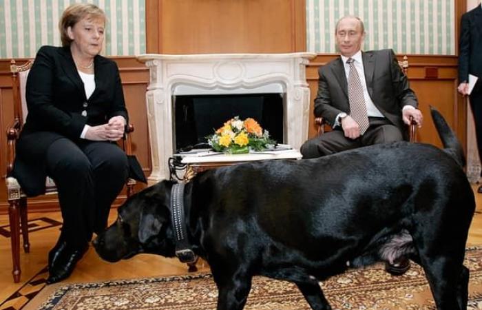 17 years later, Putin looks back on the moment he scared Merkel with his dog