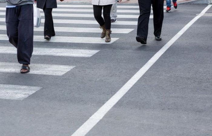 They were crossing at the pedestrian crossing: a driver hits them, two retirees between life and death