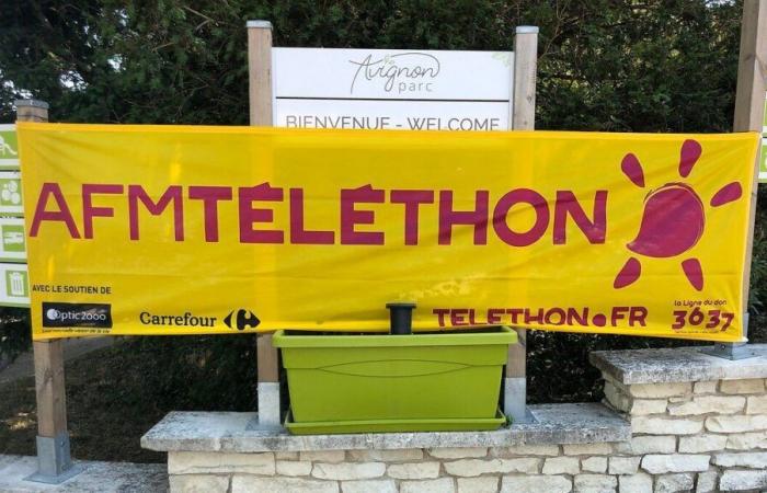 “Organizing a Telethon is a lot of work” for Pascale Pillon, coordinator for the west of the Marne