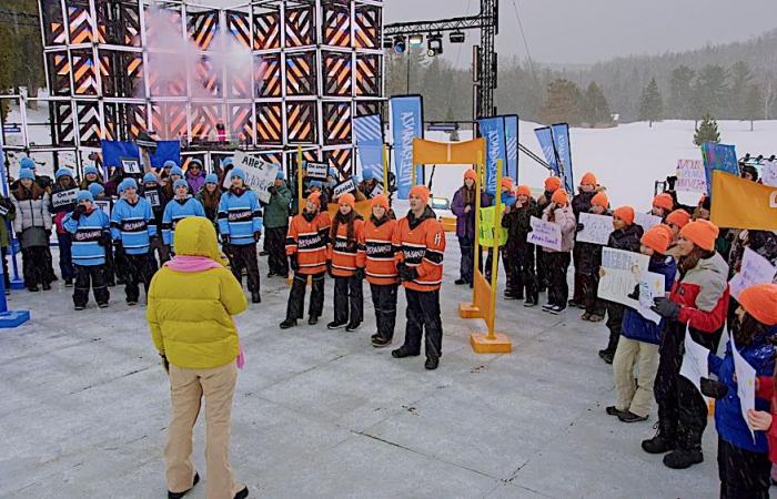 A first winter competition at Télé-Québec: Hiveraganza • Youth at Télé-Québec