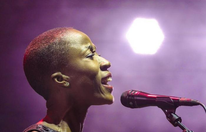 Singer Rokia Traoré was imprisoned in Belgium