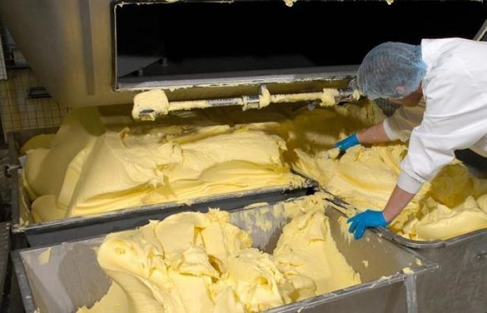 Industrial butter prices still rising in Europe