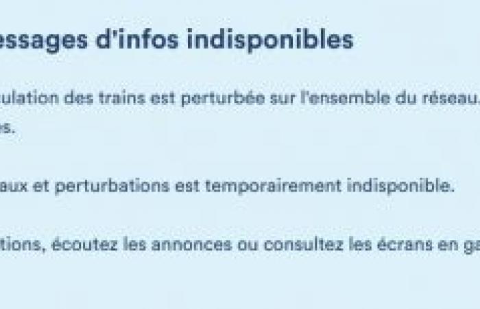 Delays and cancellations, the SNCB network disrupted throughout the country: “We advise commuters to remain attentive”