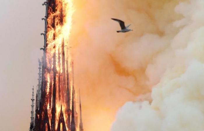 The new splendor of Notre-Dame de Paris is revealed to the whole world during a final visit by Macron (photos)