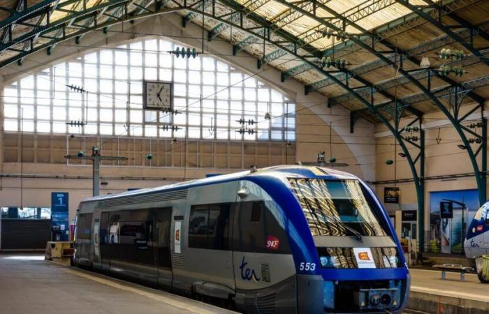 Increase in wages, extension of social benefits… The SNCF is doing everything to avoid a strike at Christmas