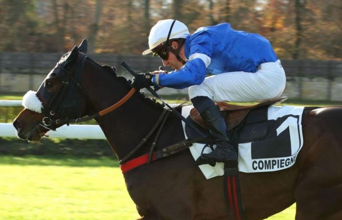 Cœur d’Amour as a class colt in the Prix Général de Saint-Didier