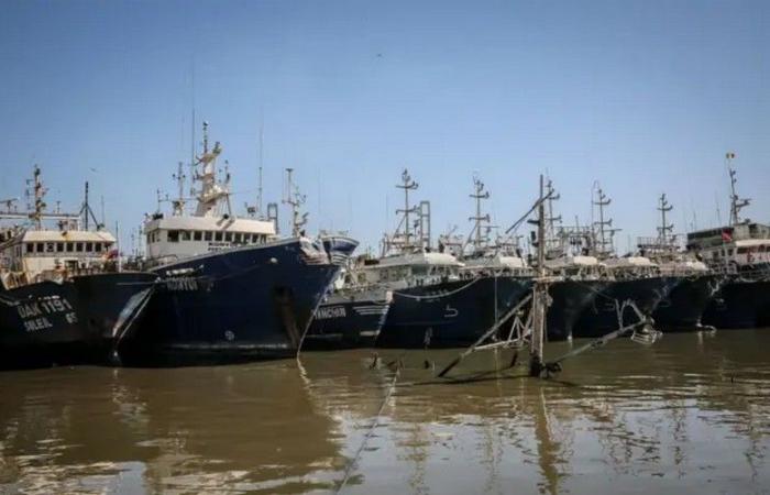 Illegal fishing in Senegal: Minister Fatou Diouf ensures that efforts are underway to improve traceability and transparency – VivAfrik