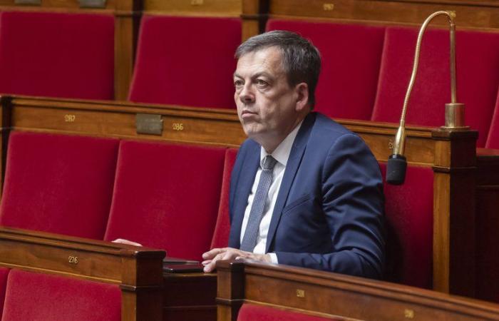 “I lost my temper”: who is Nicolas Turquois, this MoDem deputy who almost came to blows in the National Assembly?