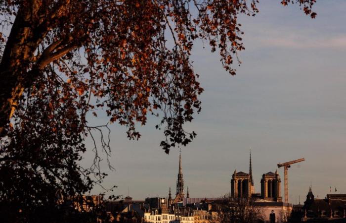 Reopening of Notre-Dame: Clara Luciani, classical stars and a French DJ