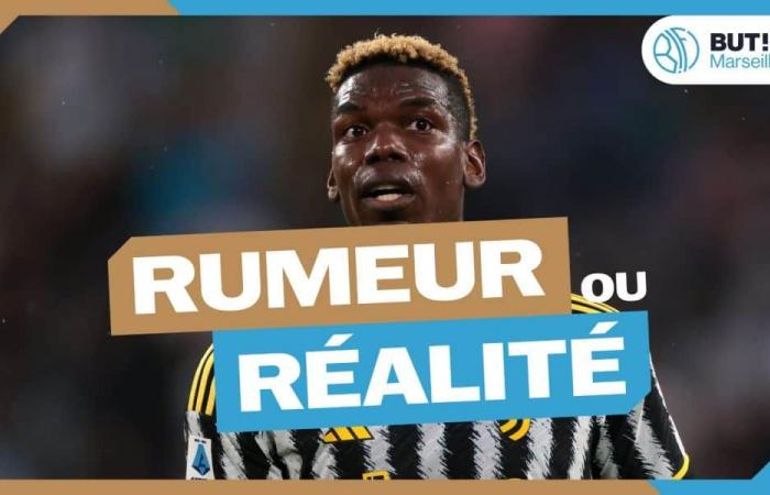 OM Mercato: Paul Pogba, rumor or reality?