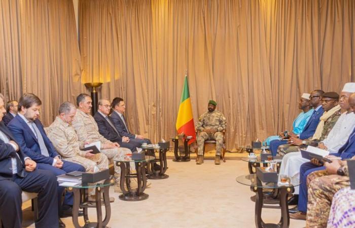 Russia-AES: envoys from Vladimir Putin on tour in Mali, Burkina Faso and Niger