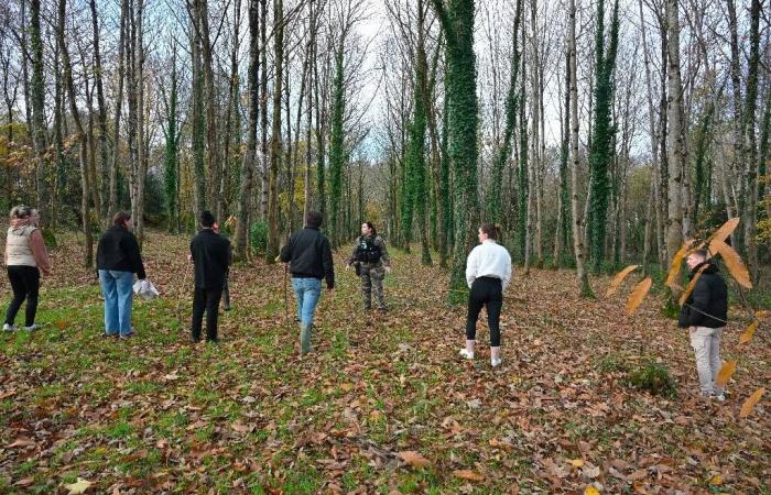 700 to 800 volunteers mobilized for a hunt this Friday in Brittany to find Morgane, 13 years old, missing since Monday