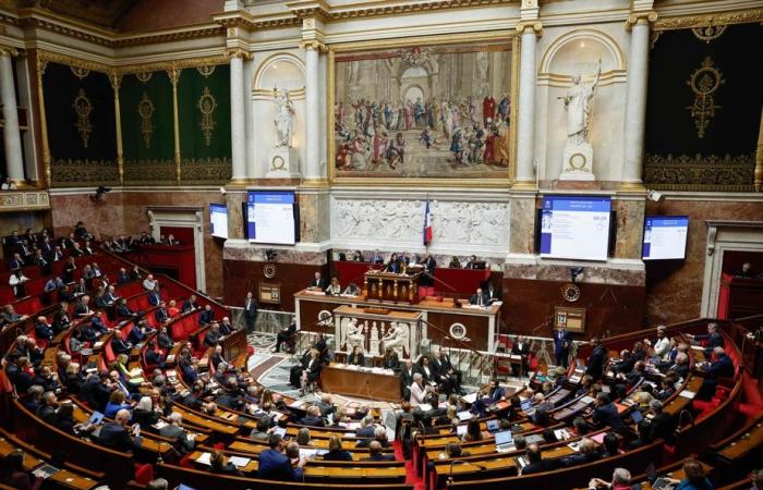 Debate on pensions in France | Incident between deputies in the National Assembly