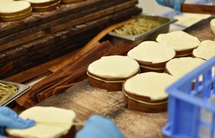 Batches of Mont d’or from a Haut-Doubs cheese factory recalled for gastroenteritis risks