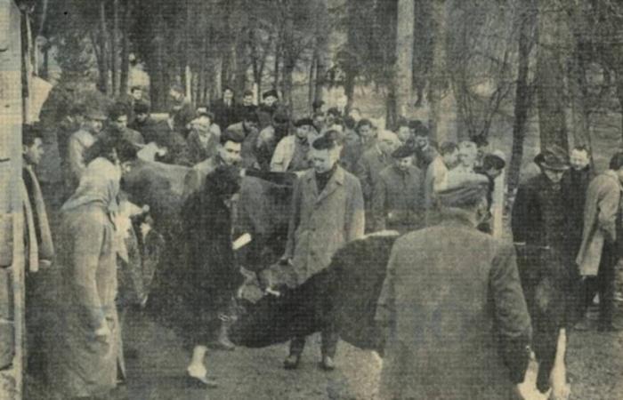 The Haute-Loire Chamber of Agriculture celebrates its 100th anniversary this year