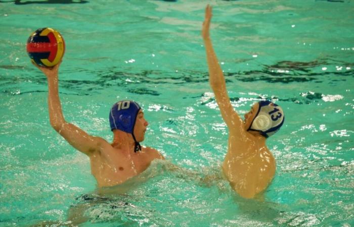 Water polo. Flers in search of its first victory: “We are not given up”