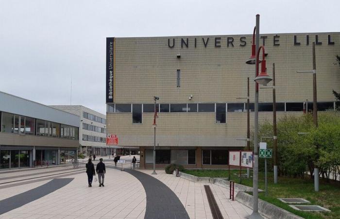 Faced with the lack of support from the State, the University of Lille is organizing a “dead university day” on Tuesday, December 3