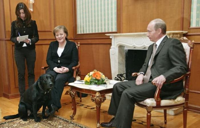 17 years later, Putin looks back on the moment he scared Merkel with his dog