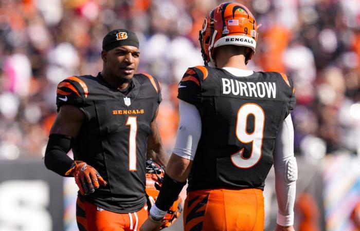 Cincinnati Bengals | Anatomy of a fall