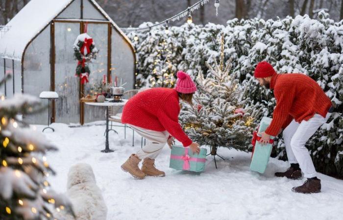 Will there be snow at Christmas in France this year? Find out the most likely weather trends for December 24 and 25