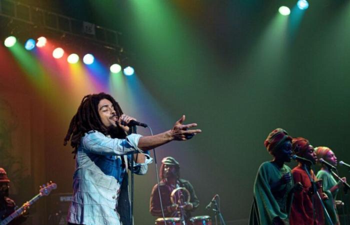 Who are Bob Marley's children and what happened to them?