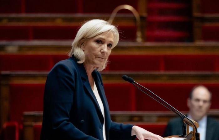 Marine Le Pen raises the stakes