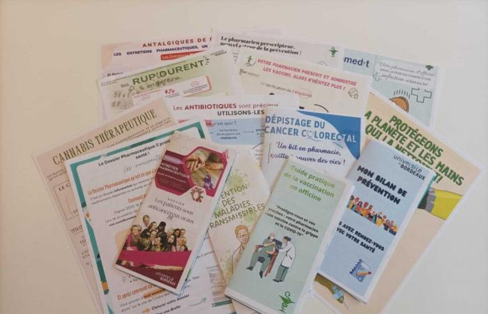 Students from Bordeaux put the pharmacy’s missions into a brochure