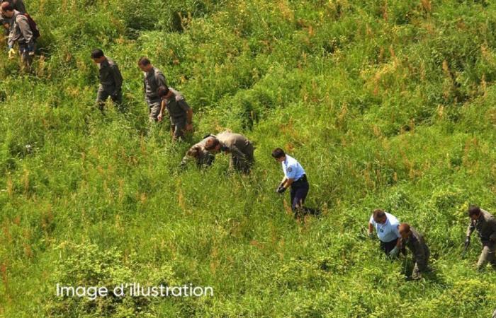 A young 13-year-old girl missing in Brittany: an organized hunt