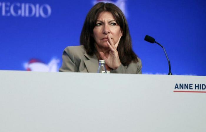 Spot on! Anne Hidalgo offers a memorable slip of the tongue during the campaign launch of the candidate who succeeds her