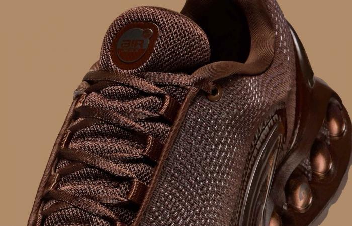 Nike Air Max Dn Light Chocolate HQ3837-200