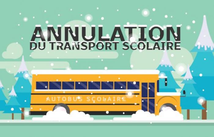 School transportation canceled in the Sault-Sainte-Marie region