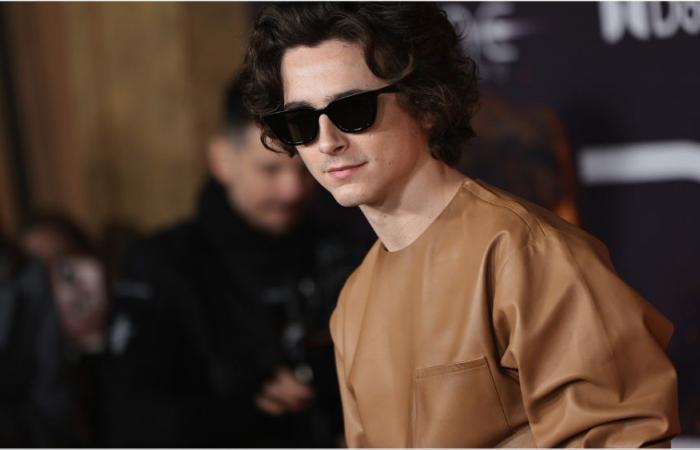 Timothée Chalamet Told ‘You Don’t Have the Right Body’ For Action Film