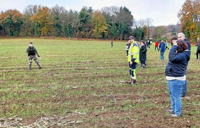 Missing teenager: nearly 200 people mobilized in Pabu to try to find her [Vidéo]