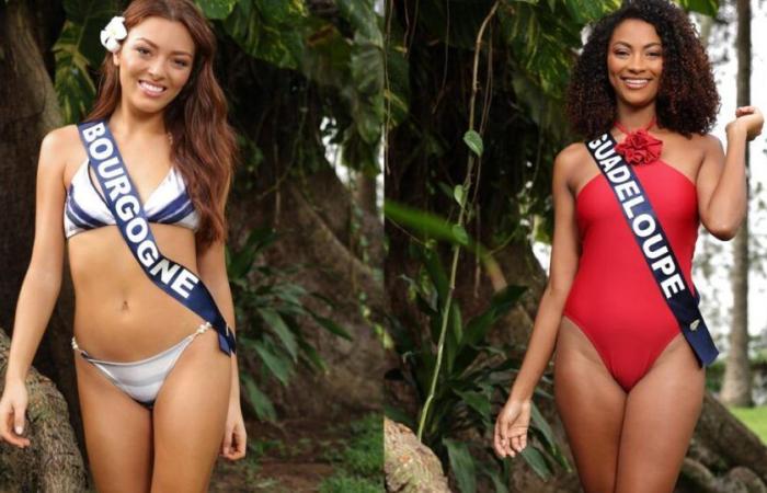 Miss France 2025: discover the 30 candidates in swimsuits