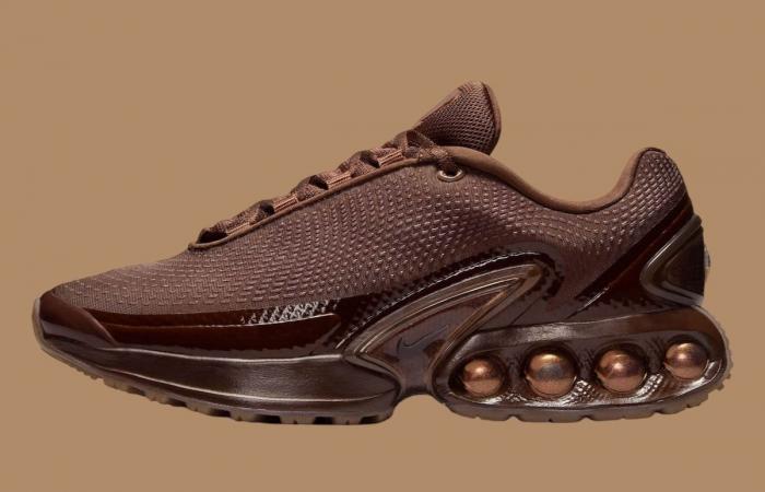 Nike Air Max Dn Light Chocolate HQ3837-200