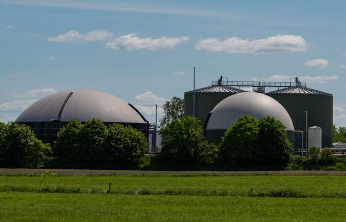 The body of a Belgian found in a power plant accident in Denmark