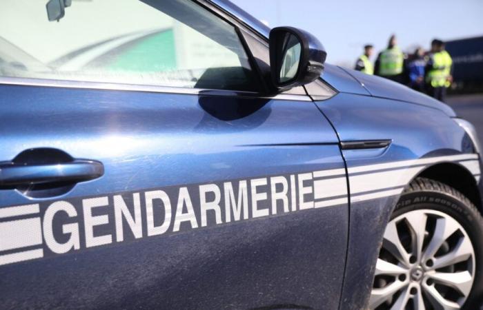 the results of the joint operation of the Indre gendarmerie on the A20