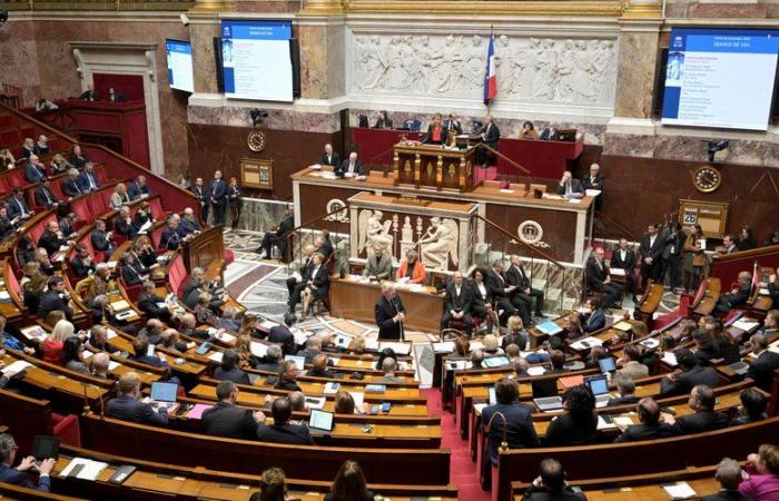 Pension reform: “I think he would have given me one”… Two deputies almost come to blows in the Assembly