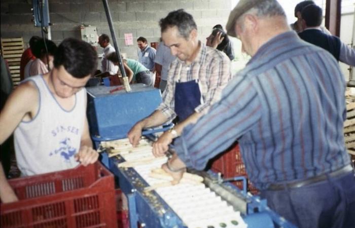 The Haute-Loire Chamber of Agriculture celebrates its 100th anniversary this year