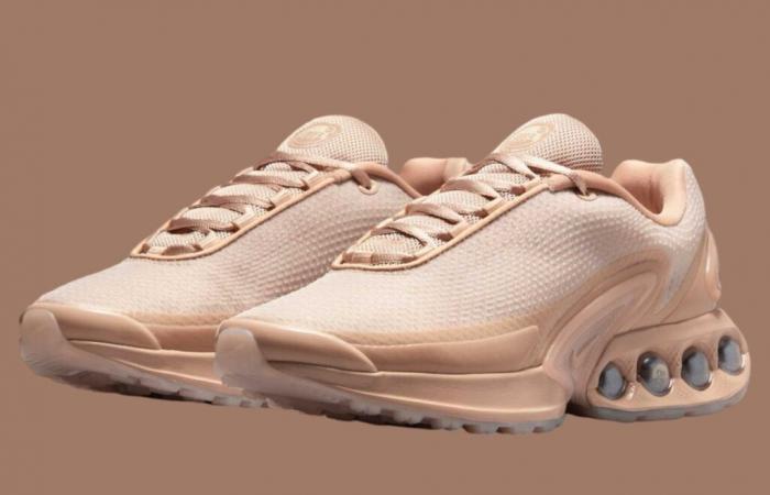 Nike Air Max Dn Bio Beige HQ3837-201