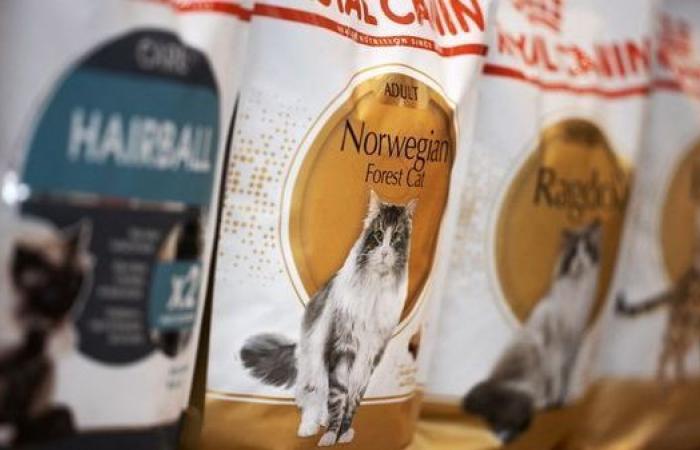 Despite the explosion in the dog and cat food market, Royal Canin will cut jobs in its Aimargues factory in Gard