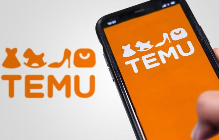 Temu and Shein drive up digital marketing prices for brands