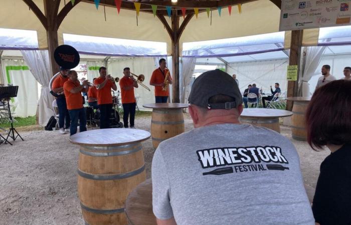 what program for the Winestock festival in 2025?